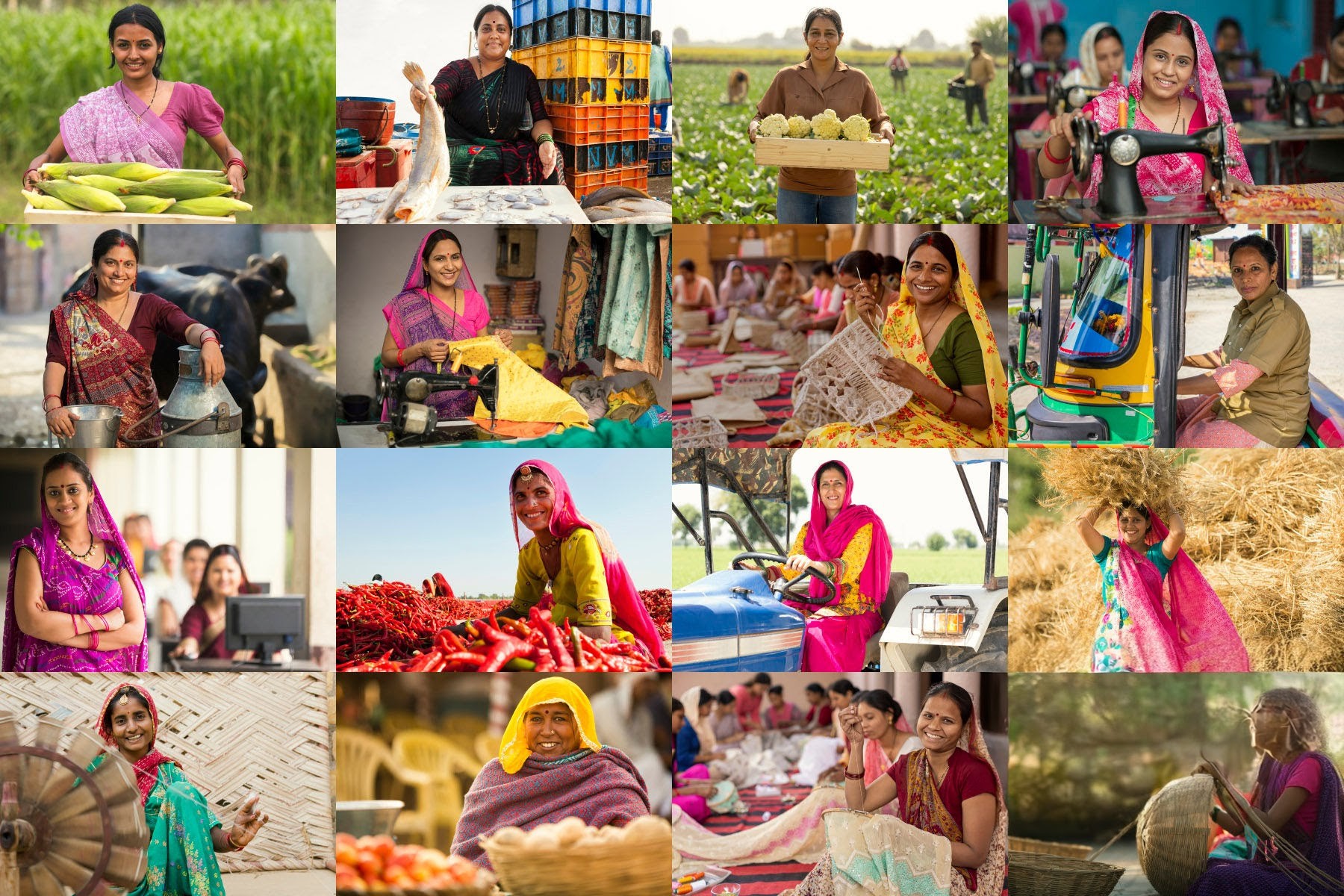 Rural Transformation (2)