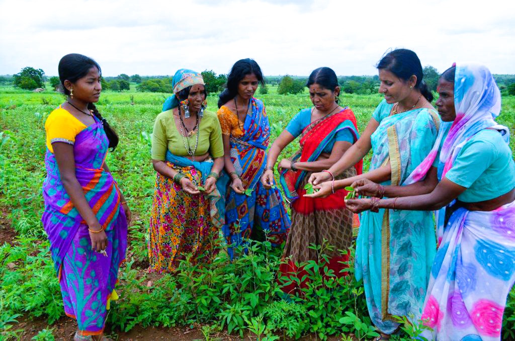 Organic-farming